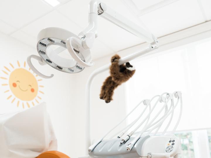 A friendly monkey keeps watch