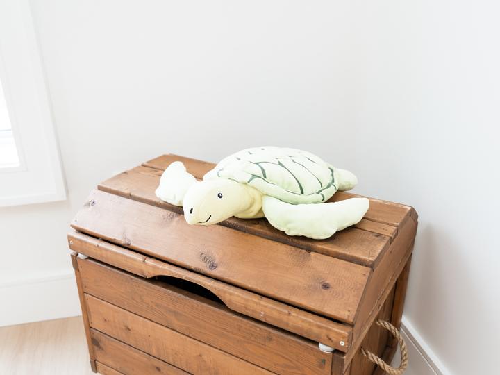 The treasure chest of toys